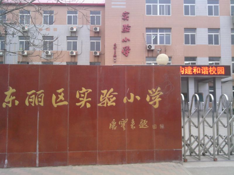 东丽区实验小学